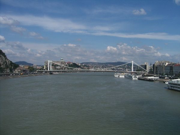 Click to see next picture