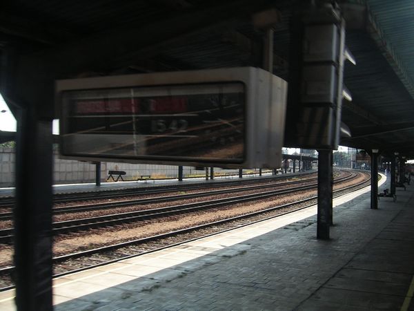 Click to see next picture
